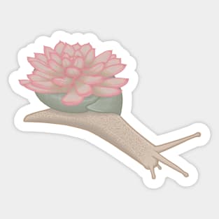 Pink Succulent Snail Sticker